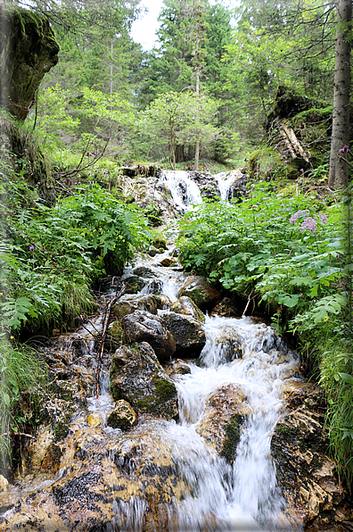 foto Cascate alte in Vallesinella